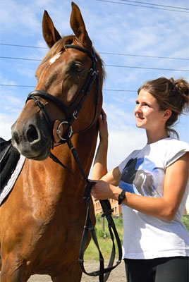 Объявления НИУ «БелГУ» обучение верховой езде