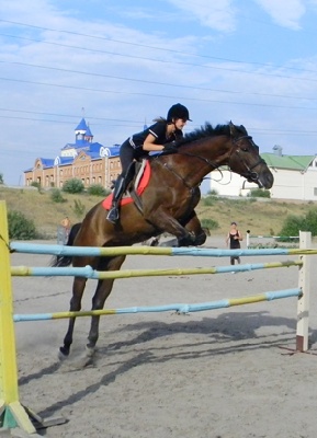 События НИУ «БелГУ» юные жители г.белгорода побывали в конноспортивной школе ниу «белгу»