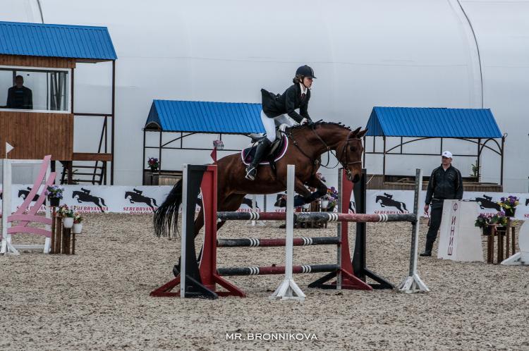 События НИУ «БелГУ» всадники вернулись с наградами 