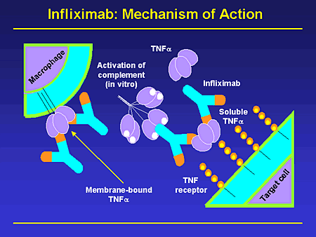 События НИУ «БелГУ» учёные ниу «белгу» приняли участие в создании нового отечественного препарата для лечения аутоиммунных заболеваний
