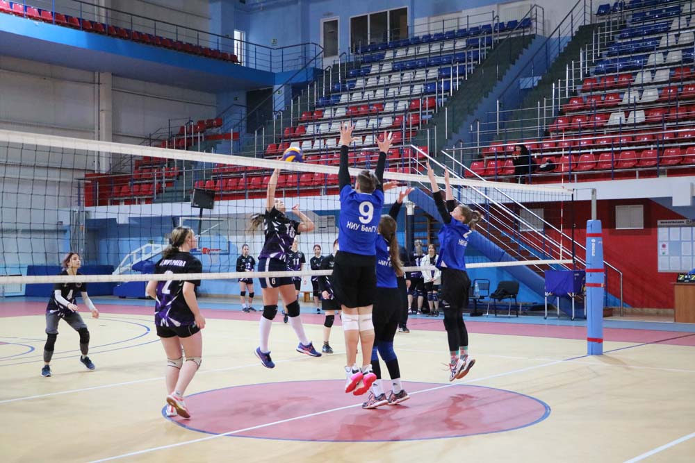 Завершился открытый кубок Спортивного клуба НИУ «БелГУ» по волейболу