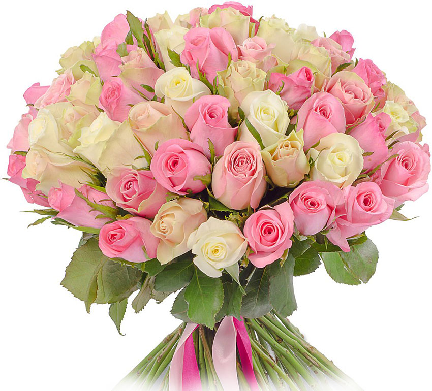 Поздравления НИУ «БелГУ» Коллектив НИУ «БелГУ» поздравляет с юбилеем ректора университета Евгению Анатольевну Карловскую