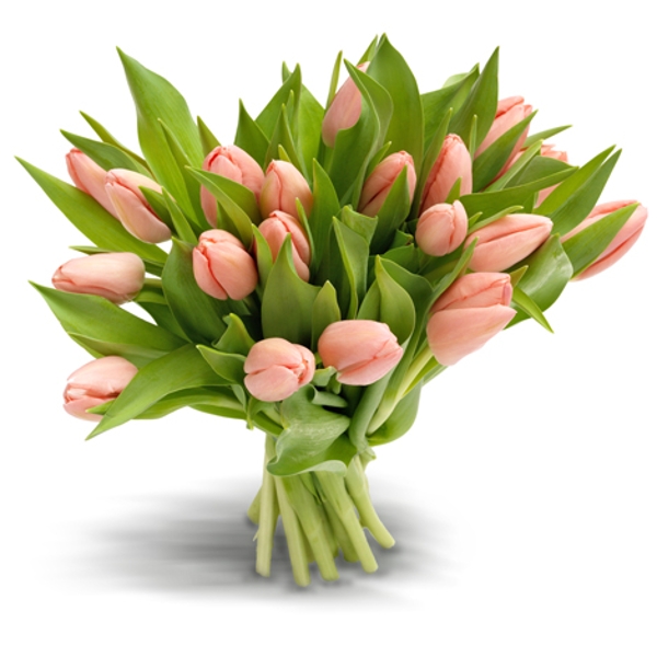 Поздравления НИУ «БелГУ» Коллектив НИУ «БелГУ» поздравляет с юбилеем Светлану Александровну Дребезгову