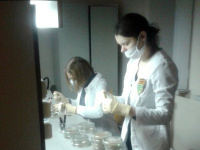 Учёные НИУ «БелГУ» назвали эффективные эфирные масла для создания противогрибковых биопрепаратов