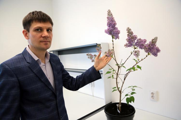 События НИУ «БелГУ» изюминка проекта «белгородская сирень»