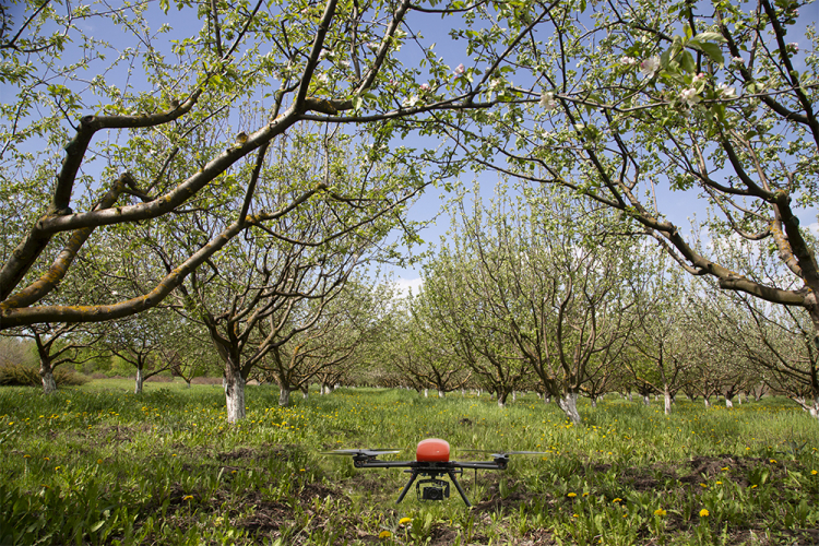 События НИУ «БелГУ» преподаватели и учащиеся инжиниринговой школы ниу «белгу» будут развивать цифровое садоводство в краснодарском крае