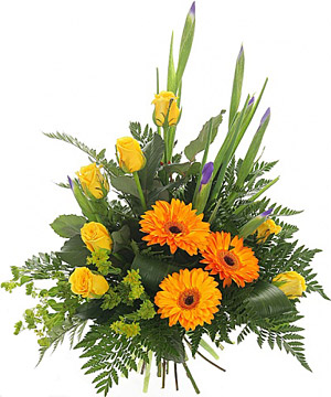 Поздравления НИУ «БелГУ» Факультету иностранных языков - 50!