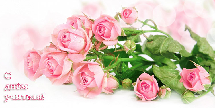 Поздравления НИУ «БелГУ» С Днём учителя!