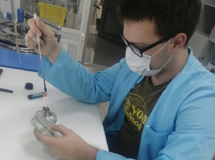 События НИУ «БелГУ» выделены новые штаммы бактерий, которые могут стать основой биопрепаратов для защиты и стимулирования роста растений