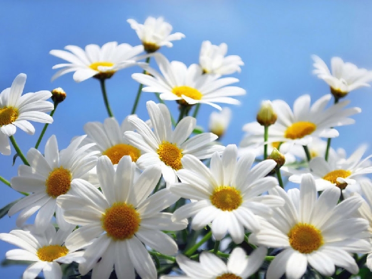 События НИУ «БелГУ» 24 марта – всемирный день борьбы против туберкулёза