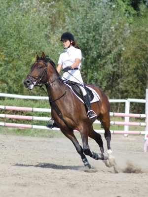 События НИУ «БелГУ» в одном манеже – кони, люди…