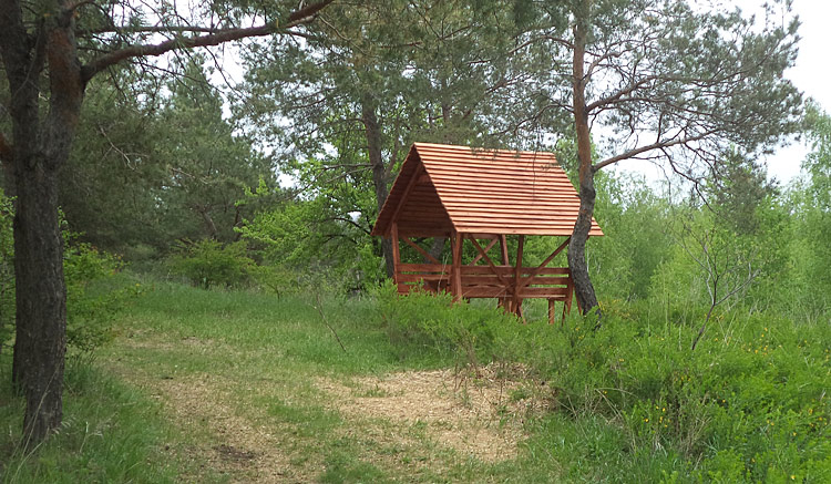 Объявления НИУ «БелГУ» тематическая экскурсия, посвященная дню лесного хозяйства