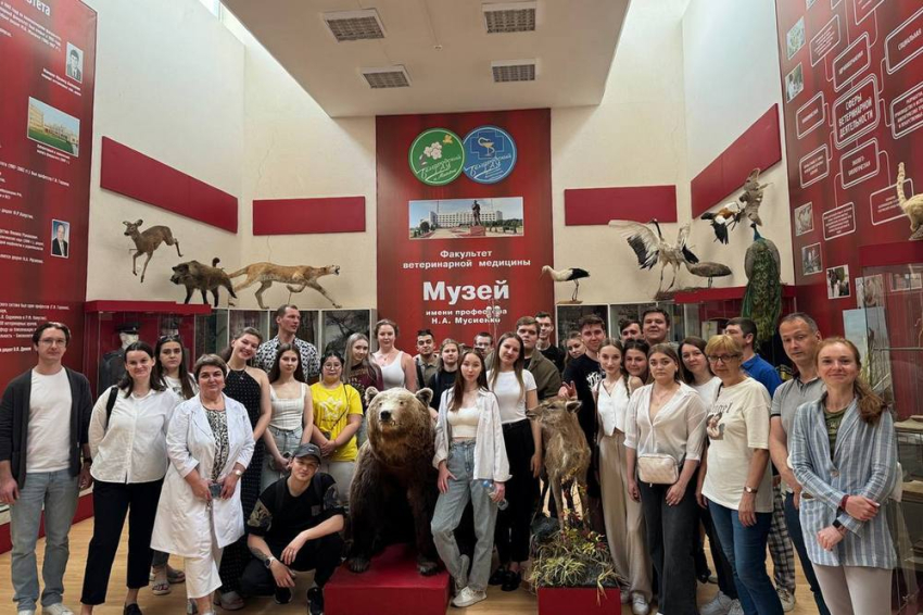 Студенты-педиатры посетили анатомическую мастерскую БелГАУ им. В.Я. Горина События НИУ «БелГУ» студенты-педиатры посетили анатомическую мастерскую белгау им. в.я. горина