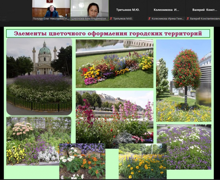 События НИУ «БелГУ» полученные при помощи генетических технологий декоративные растения украсят городские пространства 