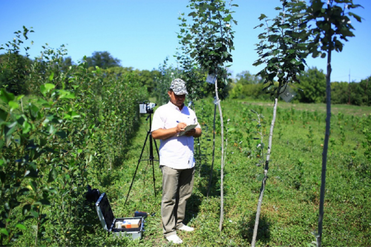 События НИУ «БелГУ» учёные предложили новые технологии для мониторинга растений