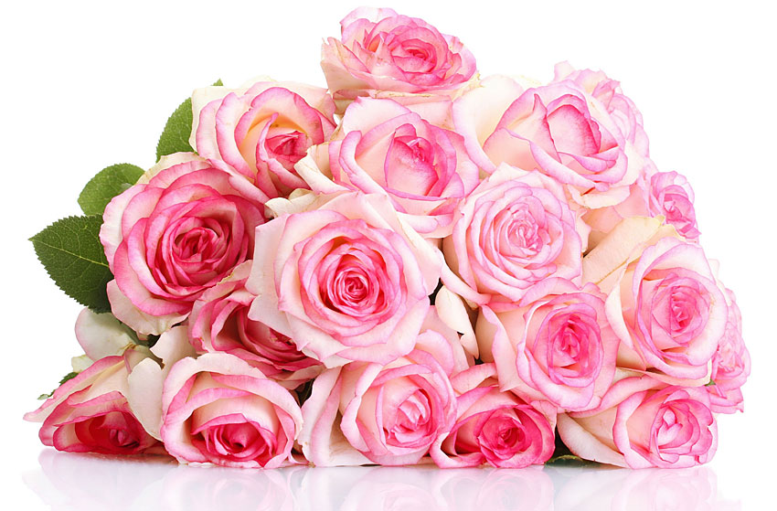 Поздравления НИУ «БелГУ» С профессиональным праздником – общероссийским Днем библиотек