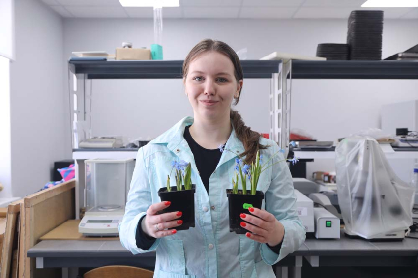 События НИУ «БелГУ» в аномальные морозы в ниу «белгу» зацвели пролески