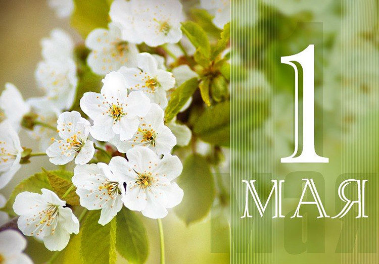 Поздравления НИУ «БелГУ» С праздником Весны и Труда!