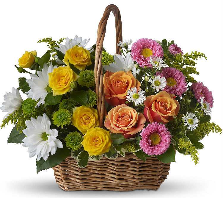 Поздравления НИУ «БелГУ» Коллектив БелГУ поздравляет с юбилеем Марину Евгеньевну Поленову