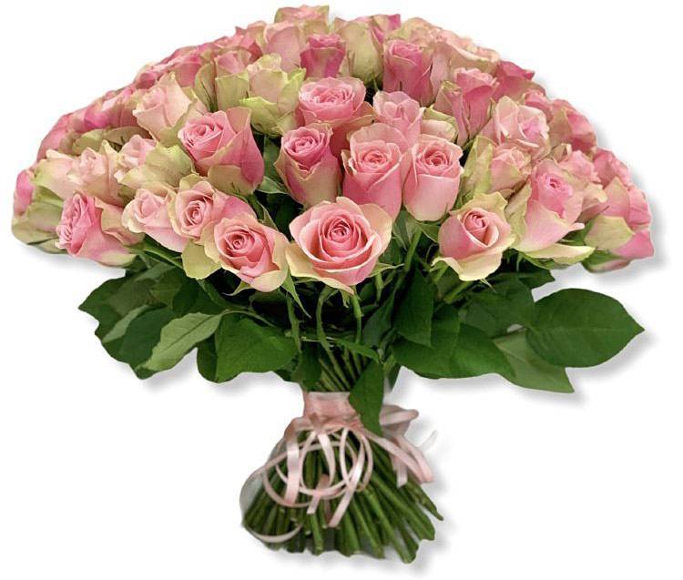 Поздравления НИУ «БелГУ» С Днём учителя!