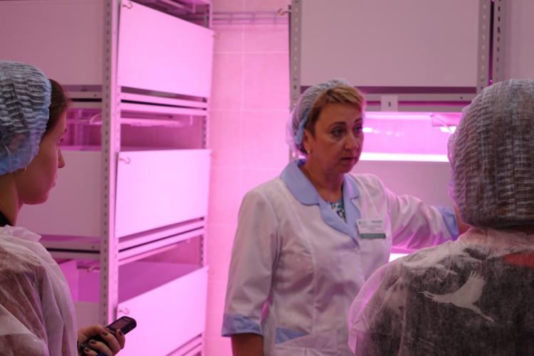 События НИУ «БелГУ» инновационный проект ботанического сада ниу «белгу» получил поддержку минобрнауки рф