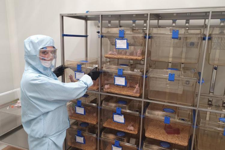 События НИУ «БелГУ» молодые учёные ниу «белгу» подключились к разработке антикоронавирусных вакцин и препаратов