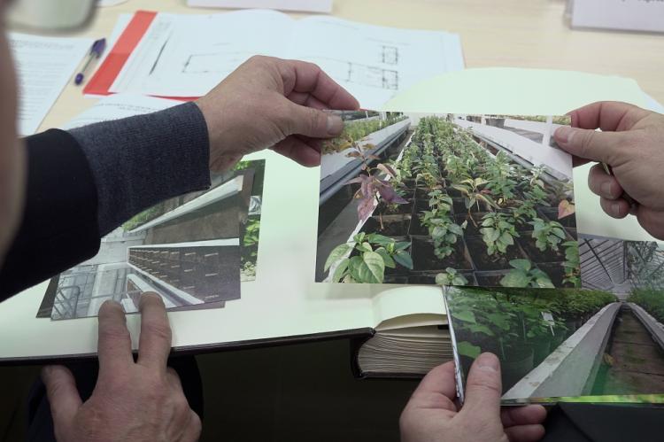 События НИУ «БелГУ» ниу «белгу» принят в международное общество сирени