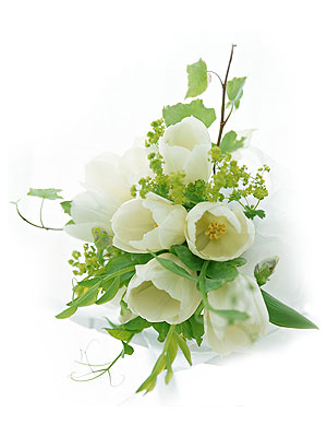 Поздравления НИУ «БелГУ» С Днем российского студенчества!