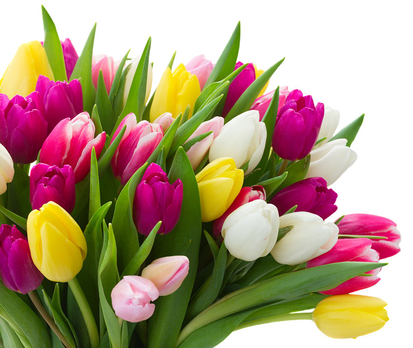 Поздравления НИУ «БелГУ» Коллектив НИУ «БелГУ» поздравляет с юбилеем Елену Андреевну Снегину