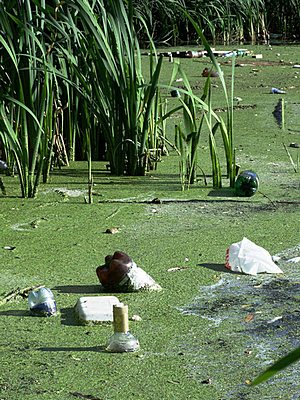 События НИУ «БелГУ» и мы здесь живем…