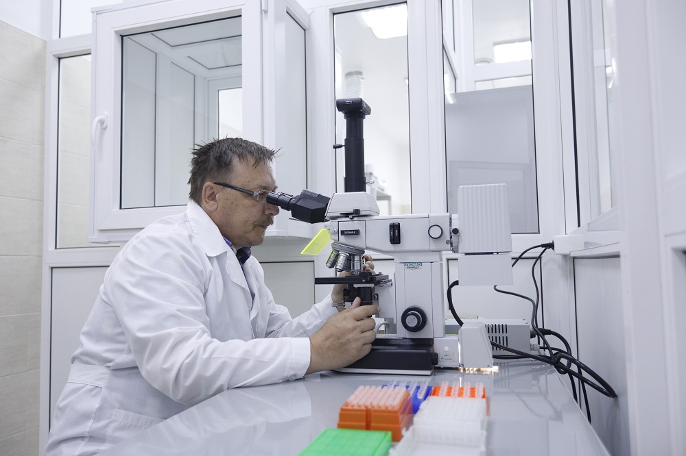 События НИУ «БелГУ» учёными ниу «белгу» обнаружена новая мутация у свиньи