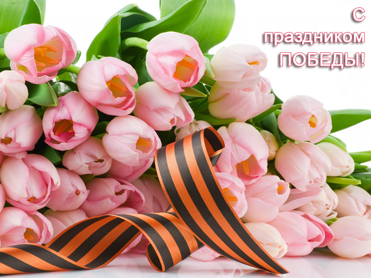 Поздравления НИУ «БелГУ» С Днём Великой Победы!