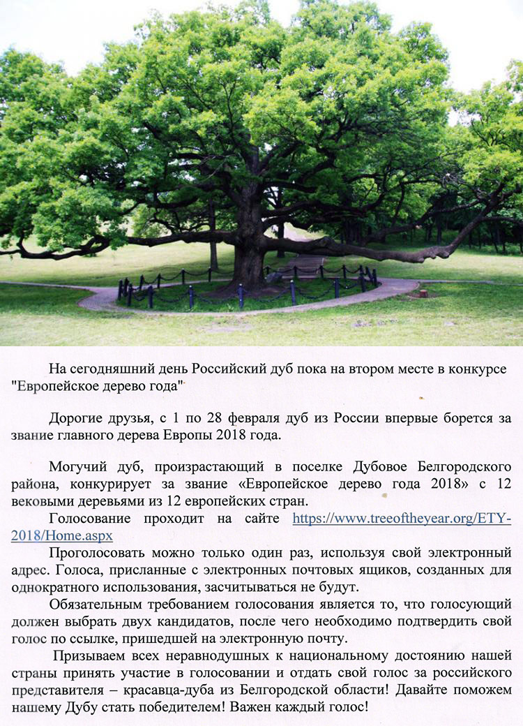 Белгородский дуб участвует в борьбе за звание главного дерева Европы 2018 года События НИУ «БелГУ» белгородский дуб участвует в борьбе за звание главного дерева европы 2018 года