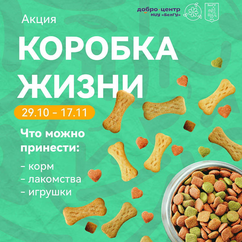 Объявления НИУ «БелГУ» «коробка жизни»