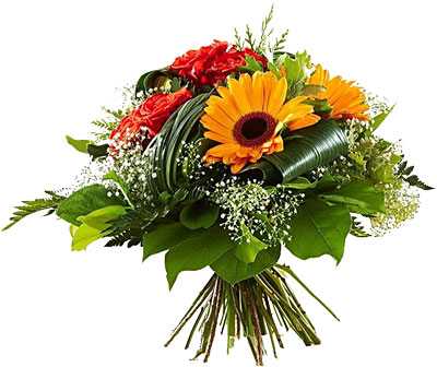 Поздравления НИУ «БелГУ» Коллектив НИУ «БелГУ» поздравляет с юбилеем Александра Ивановича Филиппова