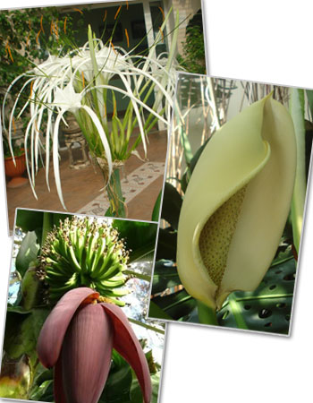 Объявления НИУ «БелГУ» «краски лета»