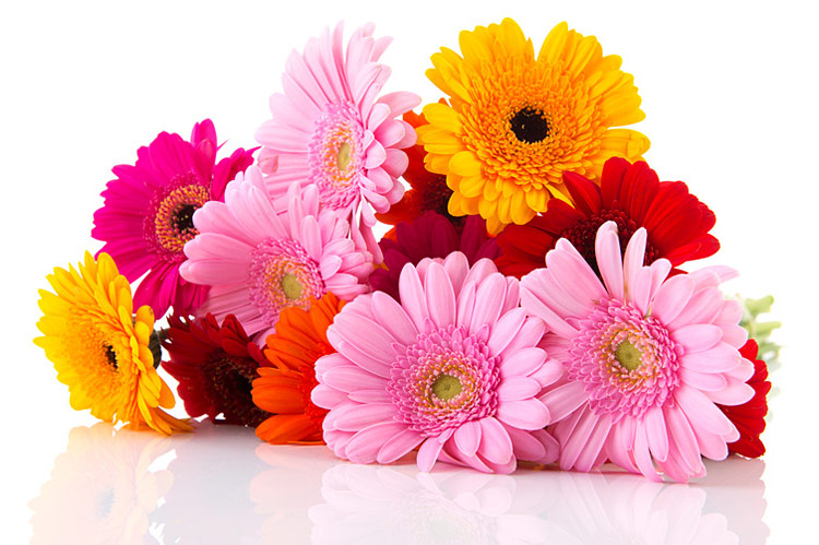 Поздравления НИУ «БелГУ» Коллектив БелГУ поздравляет с юбилеем Татьяну Валерьевну Балабанову