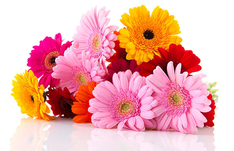 Поздравления НИУ «БелГУ» Коллектив НИУ «БелГУ» поздравляет с юбилеем Марию Николаевну Винюкову