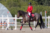 Преодолели все препятствия