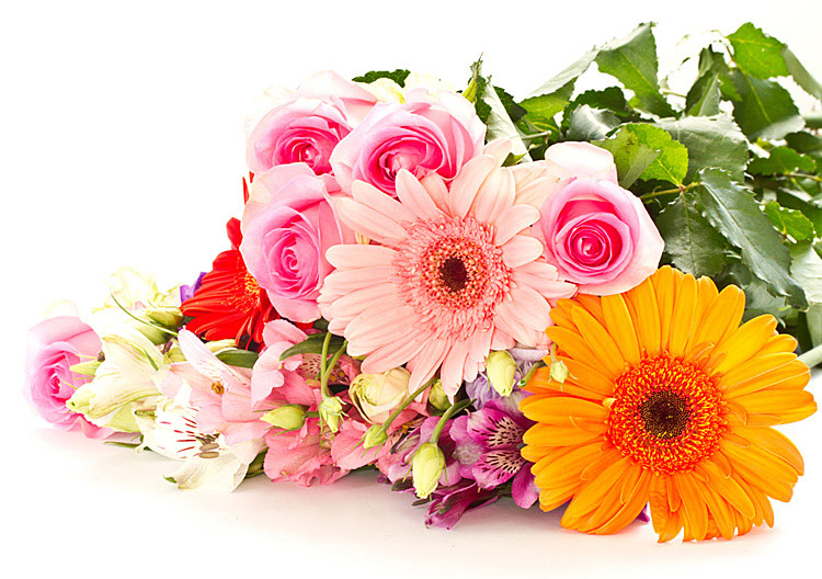 Поздравления НИУ «БелГУ» Коллектив НИУ «БелГУ» поздравляет с юбилеем Веру Васильевну Сошенко