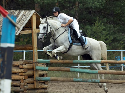События НИУ «БелГУ» 25 медалей и 2 кубка