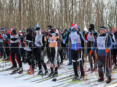 События НИУ «БелГУ» наши призеры на «лыжне россии-2014»