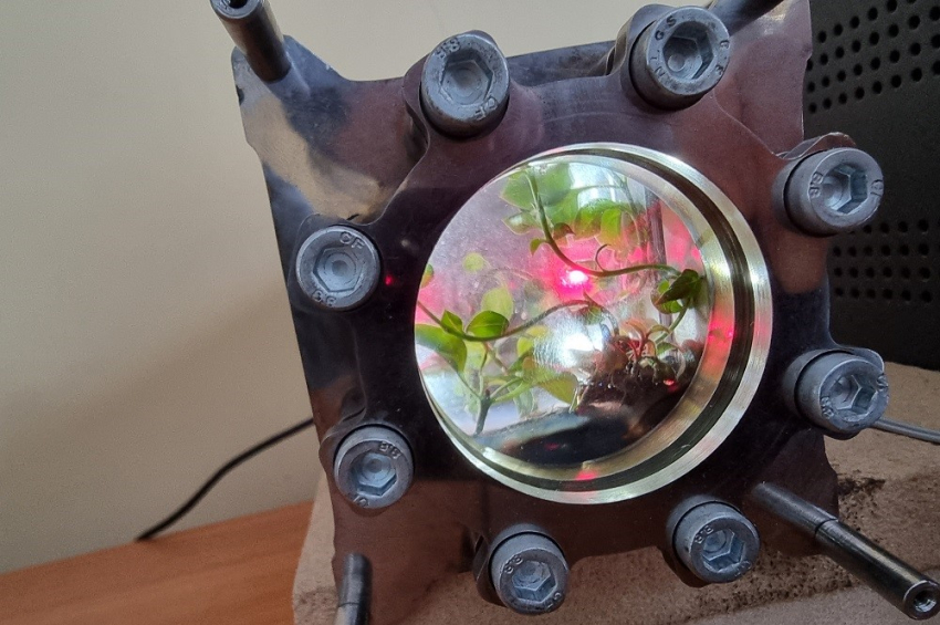 События НИУ «БелГУ» учёные ниу «белгу» запатентовали устройство для выращивания растений в космосе