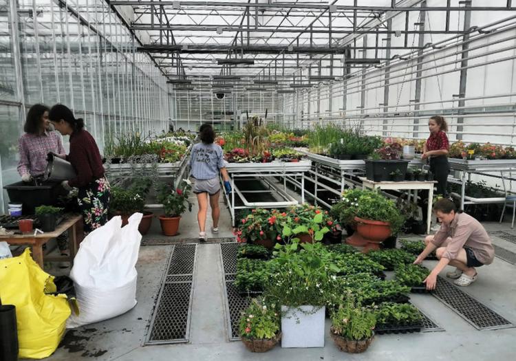 События НИУ «БелГУ» студенты ниу «белгу» работают в трудовых отрядах 