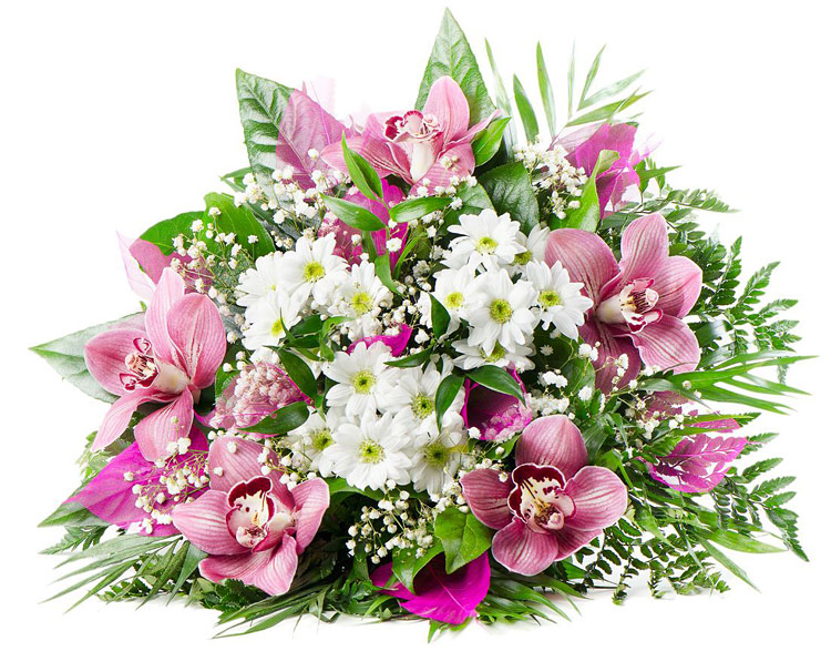 Поздравления НИУ «БелГУ» Коллектив НИУ «БелГУ» поздравляет с юбилеем Анну Михайловну Чуйко