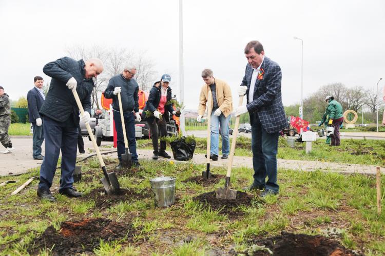 События НИУ «БелГУ» ниу «белгу» подарил белгороду можжевеловую рощу 