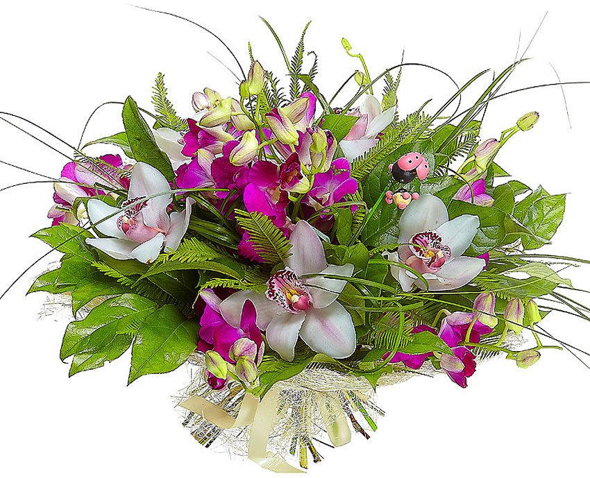 Поздравления НИУ «БелГУ» Коллектив НИУ «БелГУ» поздравляет с юбилеем Рустама Оскаровича Кайбышева