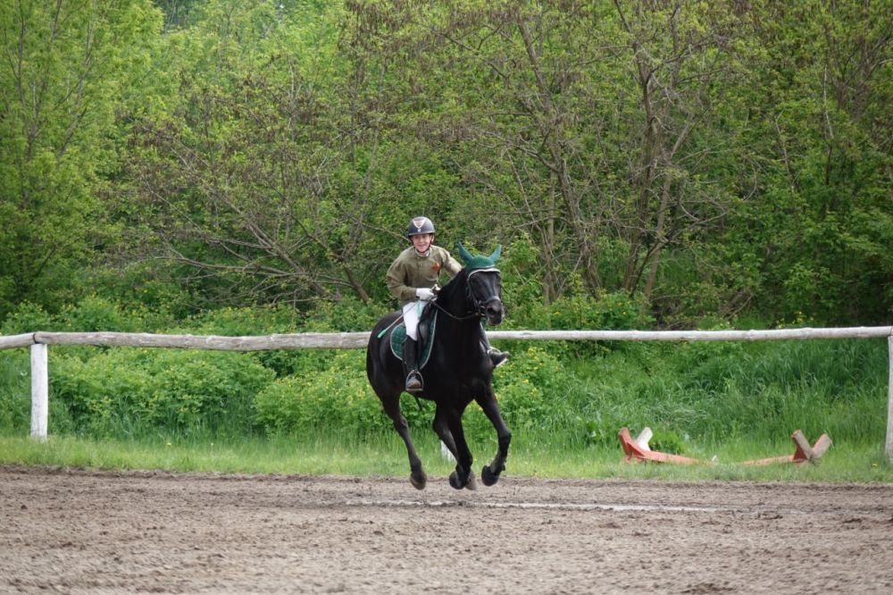 Соревнования по конному спорту состоялись в НИУ «БелГУ»