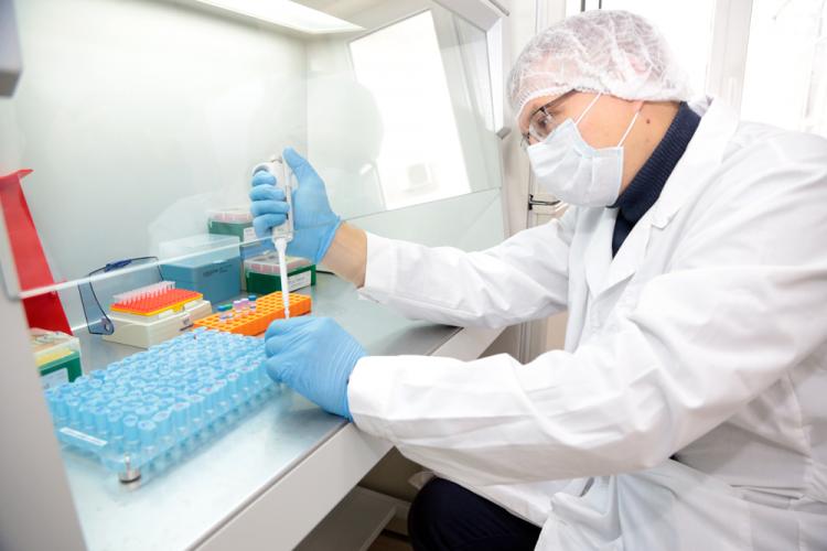 События НИУ «БелГУ» учёные ниу «белгу» делятся передовым опытом в генодиагностике