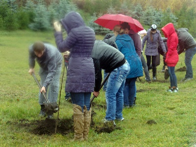 События НИУ «БелГУ» в ботаническом саду ниу «белгу» появилась липовая аллея